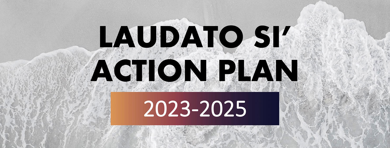 Laudato Si Action Plan